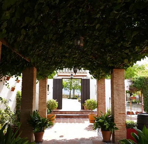 Bed & Breakfast Cortijo Carrillo Cartaojal